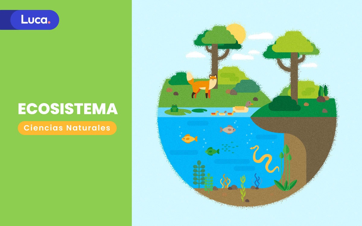 Ecosistema